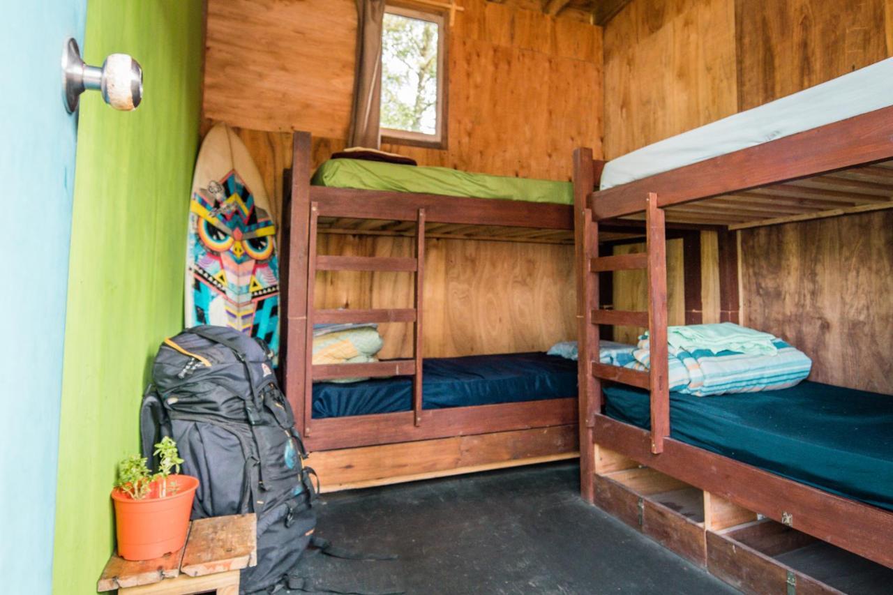 Compay Hostel ラ・ペドレラ 部屋 写真