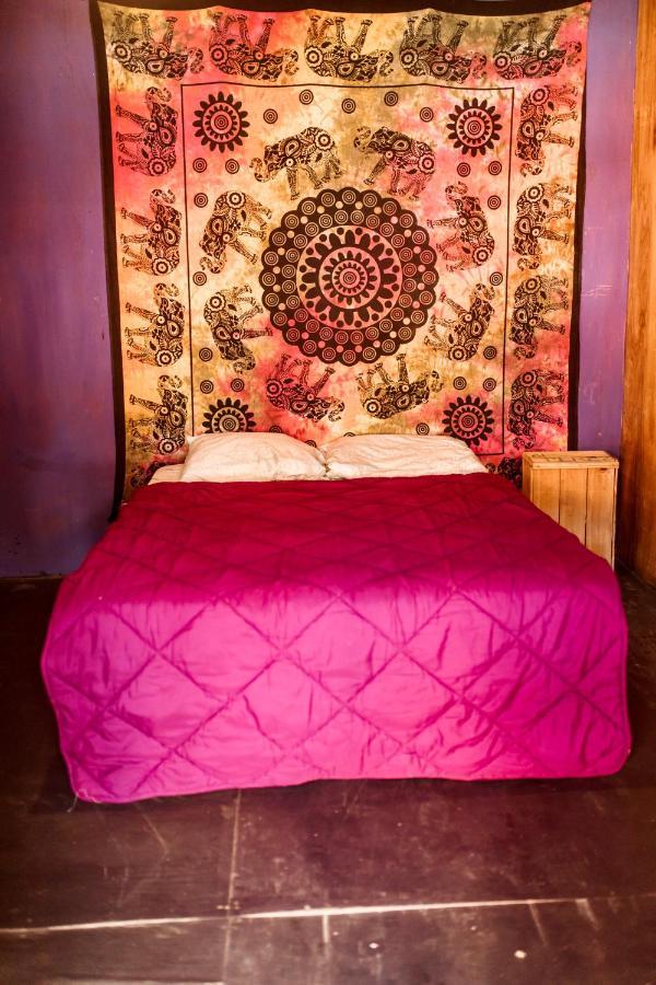 Compay Hostel ラ・ペドレラ 部屋 写真