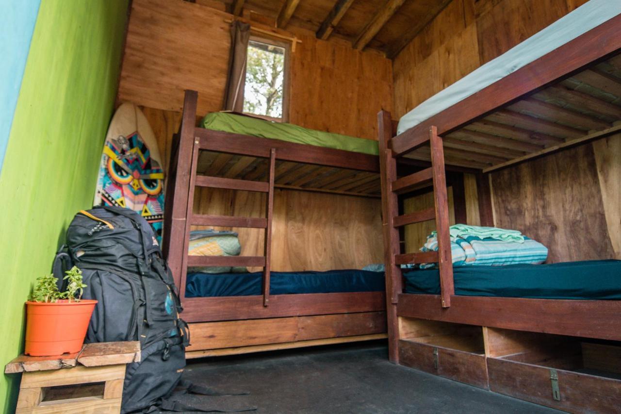 Compay Hostel ラ・ペドレラ 部屋 写真