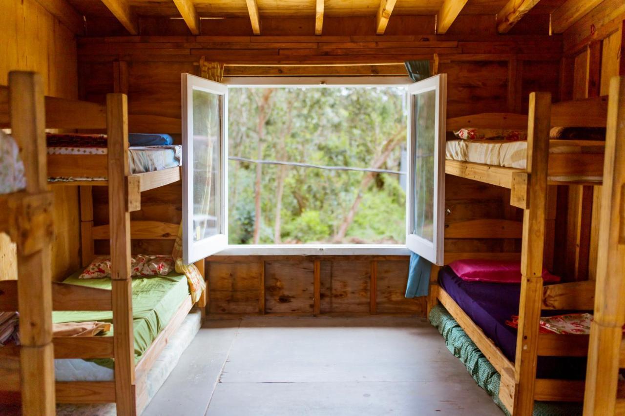 Compay Hostel ラ・ペドレラ 部屋 写真