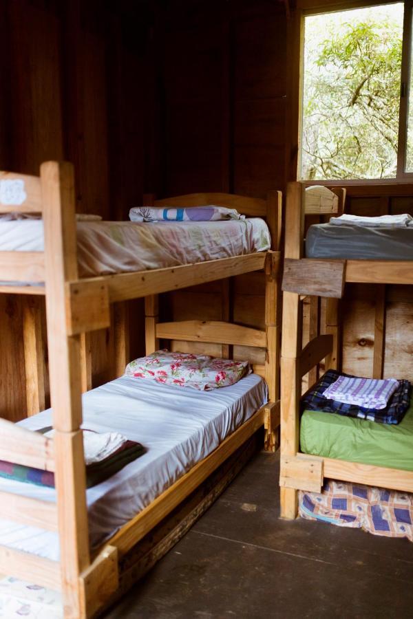 Compay Hostel ラ・ペドレラ 部屋 写真